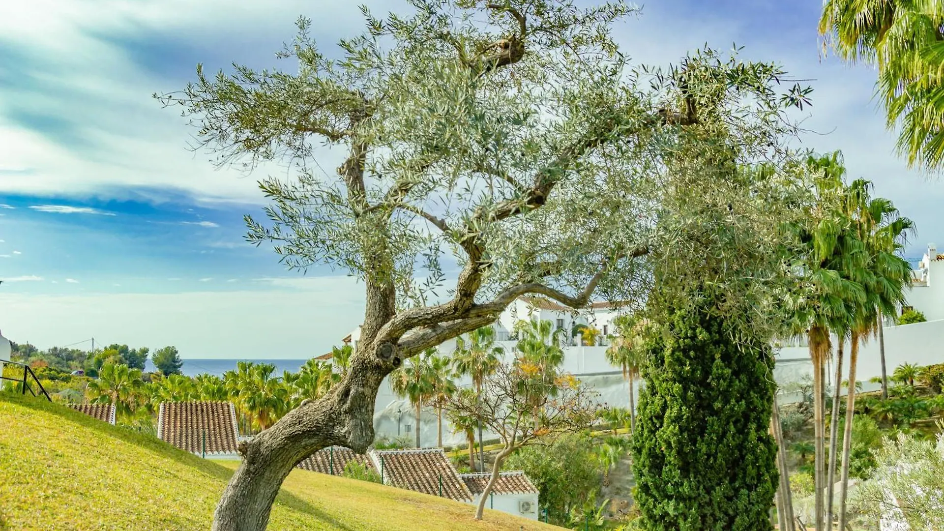 Apartment Tetuan 7 Oasis Properties Nerja Spain